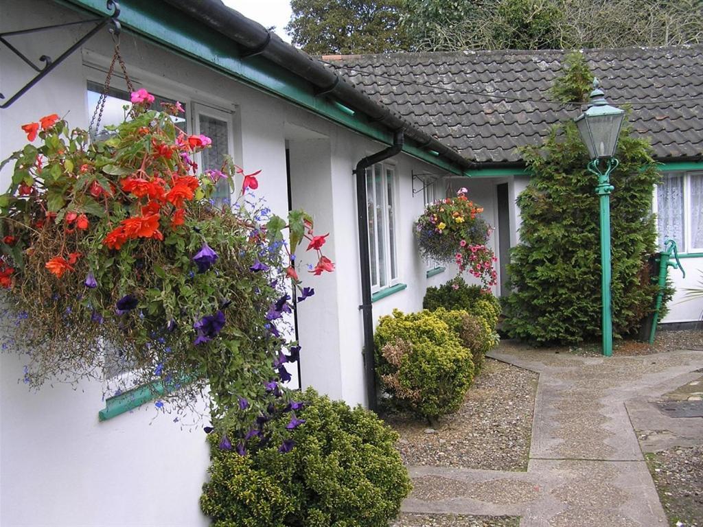 The Willow House Watton Eksteriør bilde